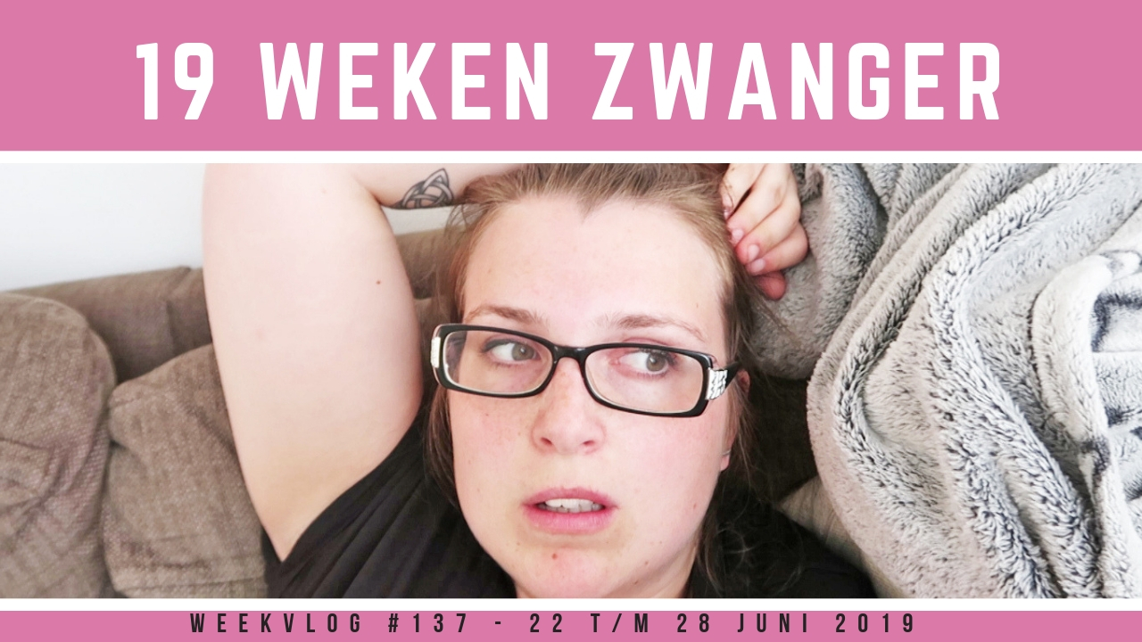 vlog 137