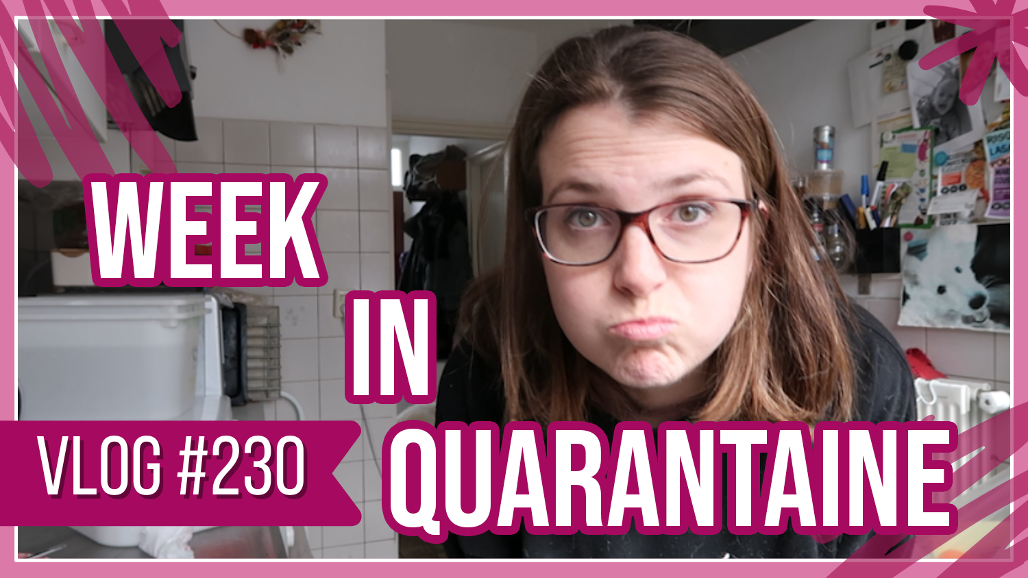 vlog 230