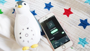 Zazoe zoe spotify
